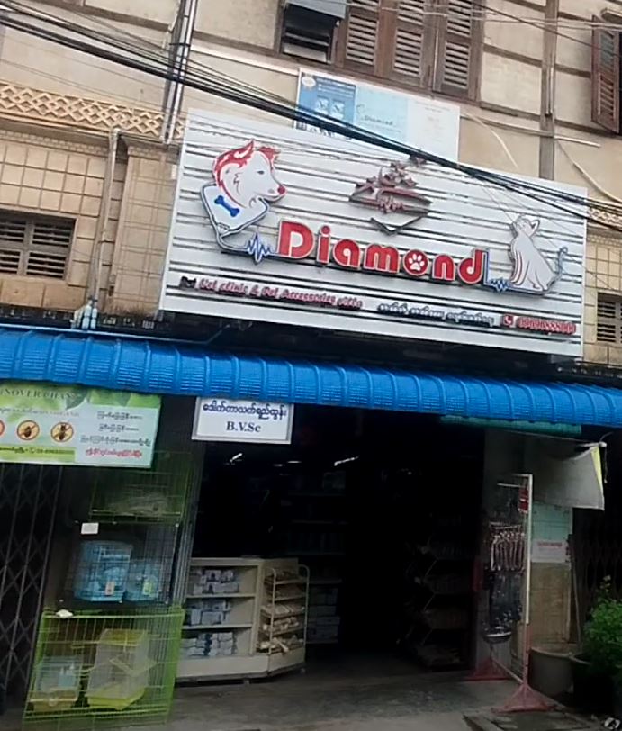 DIAMOND VET CLINIC & PET VILLA
