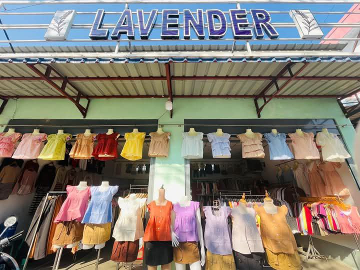 Lavender fashion-Taungoo